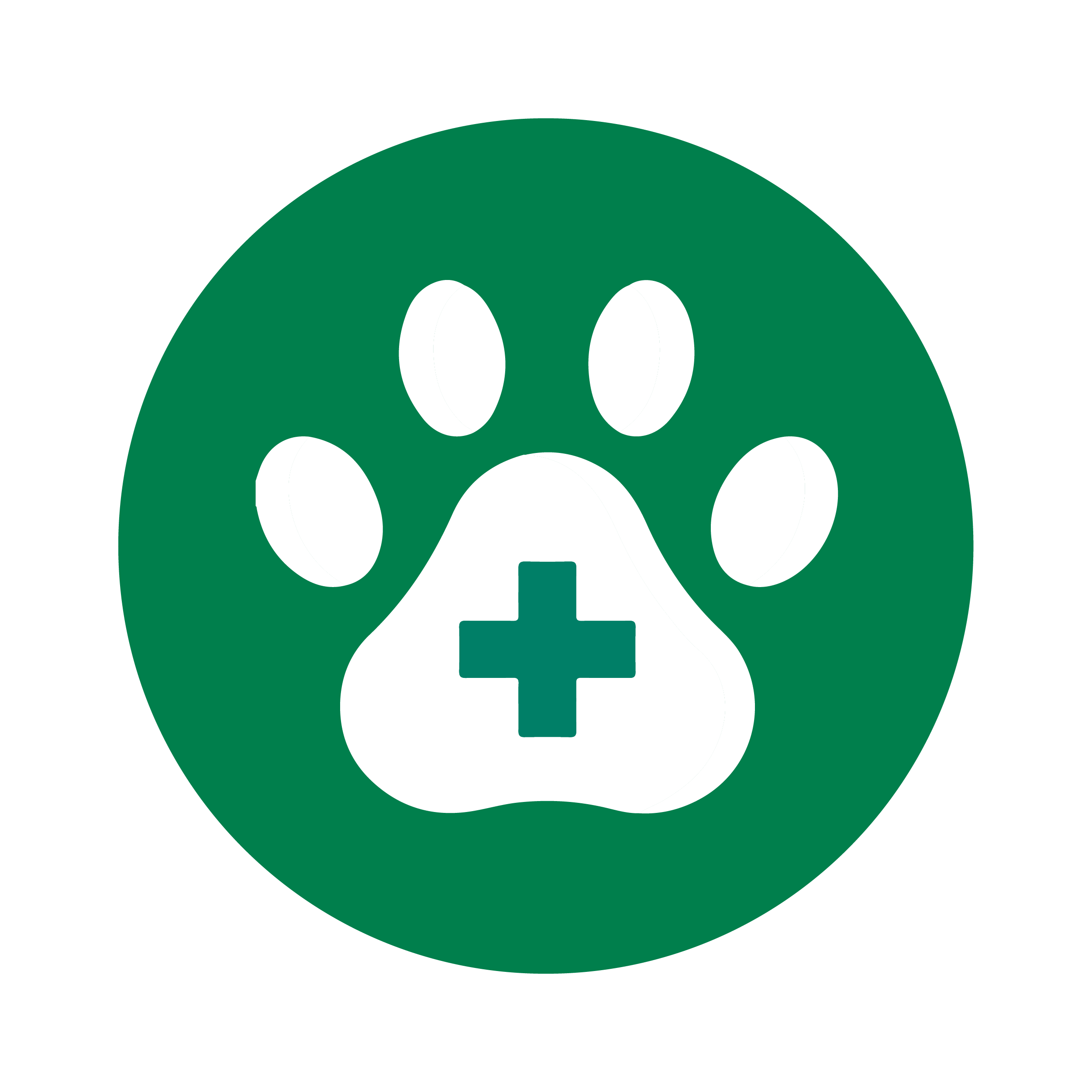 Онлайн курс Ветеринарная анатомия от Московская Академия Сельского Хозяйства (МАСХ)