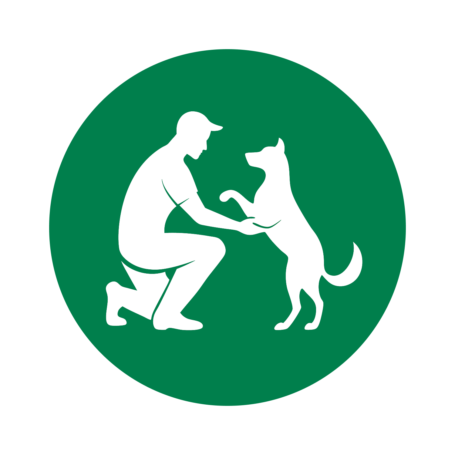 Онлайн курс Спорт с собакой от Московская Академия Сельского Хозяйства (МАСХ)