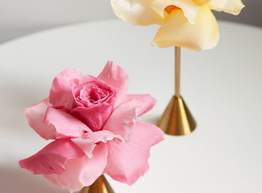Онлайн курс Flora and ceramic candles от Академия свечеварения Buono Deco Онлайн курс Flora and ceramic candles от Академия свечеварения Buono Deco