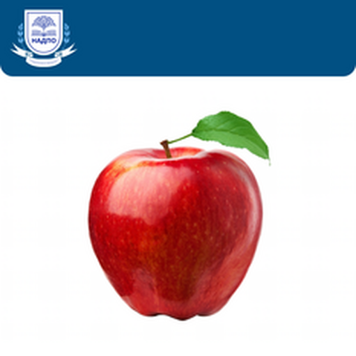 Онлайн курс Практическая журналистика. Курсы переподготовки от НАДПО Онлайн курс Практическая журналистика. Курсы переподготовки от НАДПО