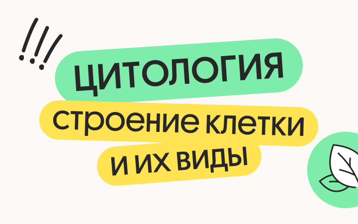 Онлайн курс Цитология. Строение клетки и их виды от Вебиум