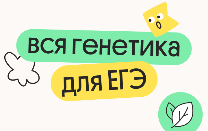 Онлайн курс Вся генетика для ЕГЭ от Вебиум
