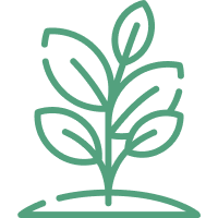 Онлайн курс Горшечные растения от Московская Академия Сельского Хозяйства (МАСХ)