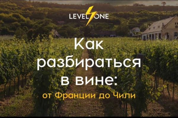Онлайн курс Как разбираться в вине: от Франции до Чили от Level One