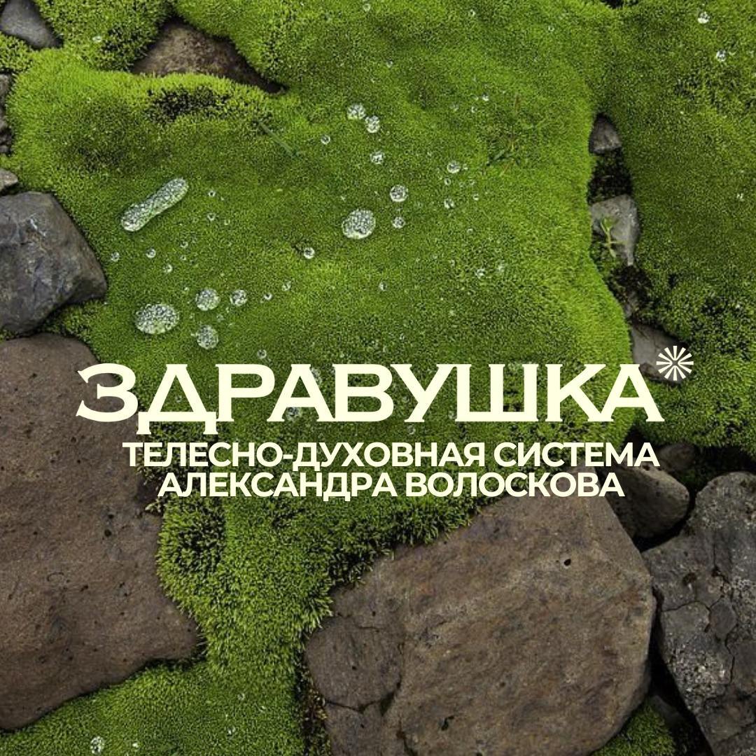 Онлайн курс Как избавиться от боли и напряжения в спине от Здравушка 7yog Онлайн курс Как избавиться от боли и напряжения в спине от Здравушка 7yog