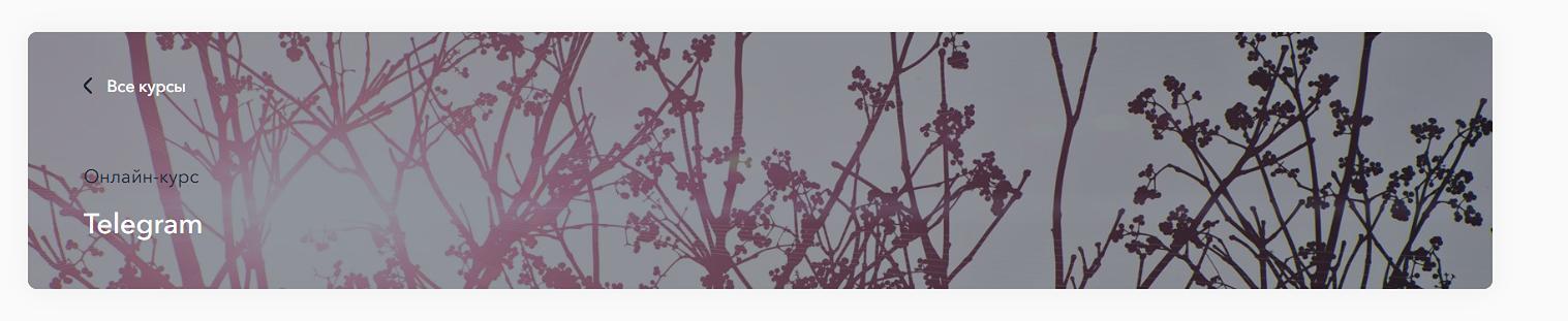 Онлайн курс Маркетинг в Telegram от MAED