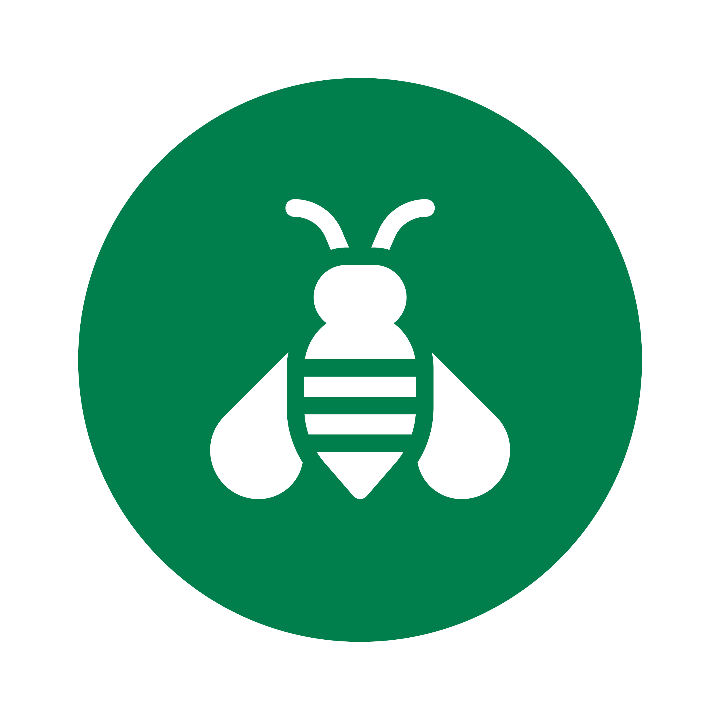 Онлайн курс Пчеловодство от Московская Академия Сельского Хозяйства (МАСХ)