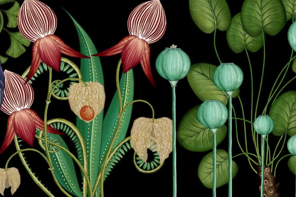 Онлайн курс История биологии: от Древней Греции до современности от Level One