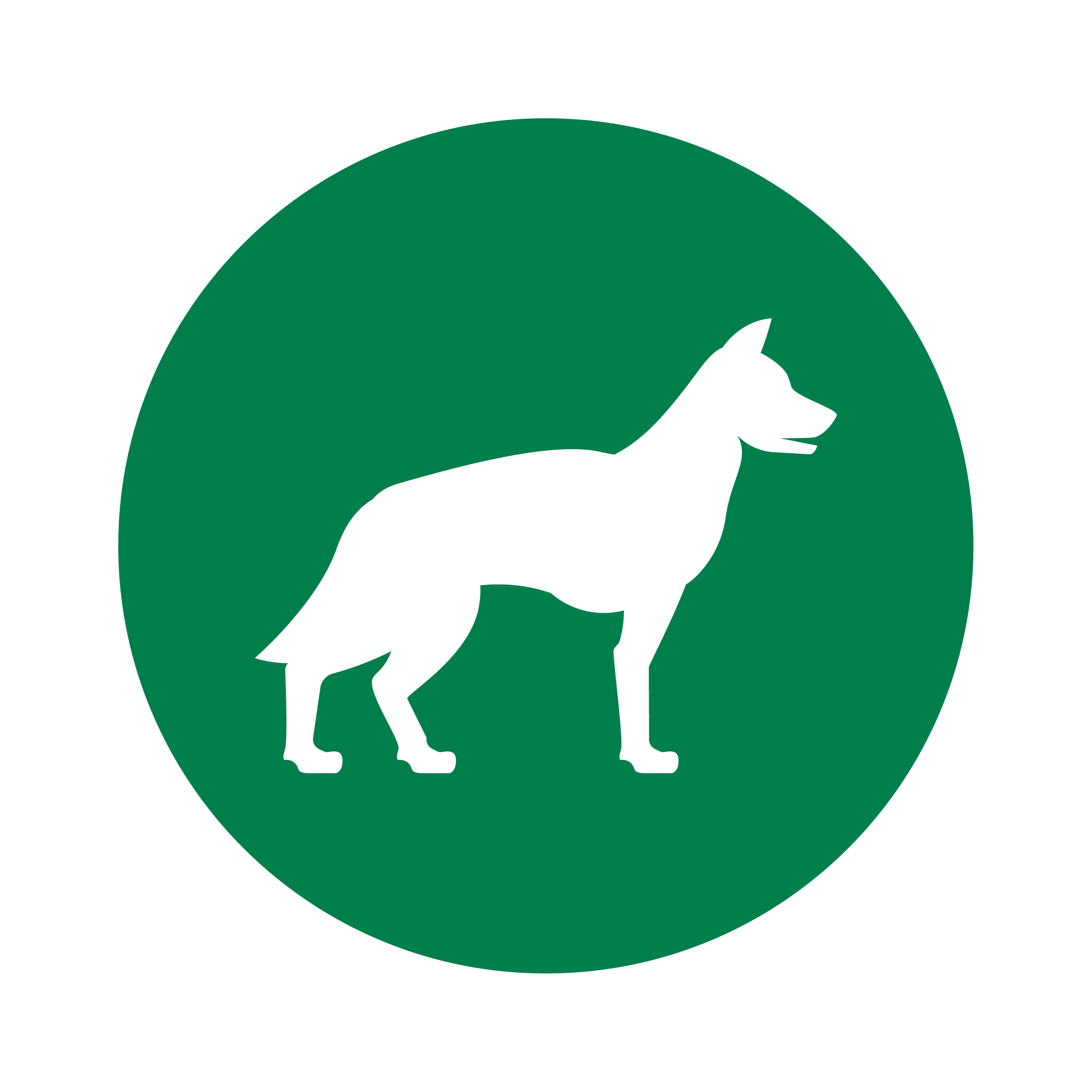 Онлайн курс Кинология от Московская Академия Сельского Хозяйства (МАСХ)