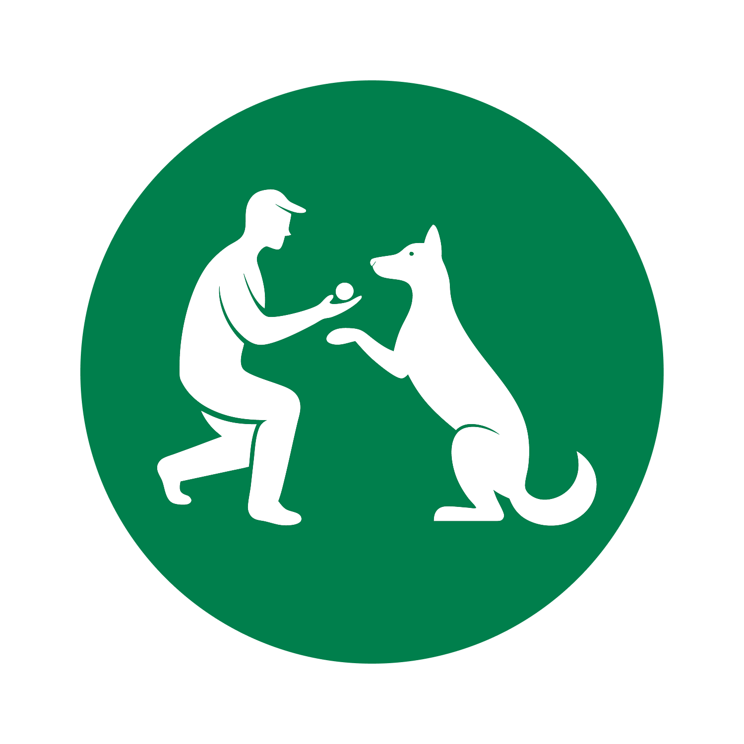 Онлайн курс Основы дрессировки собак от Московская Академия Сельского Хозяйства (МАСХ)