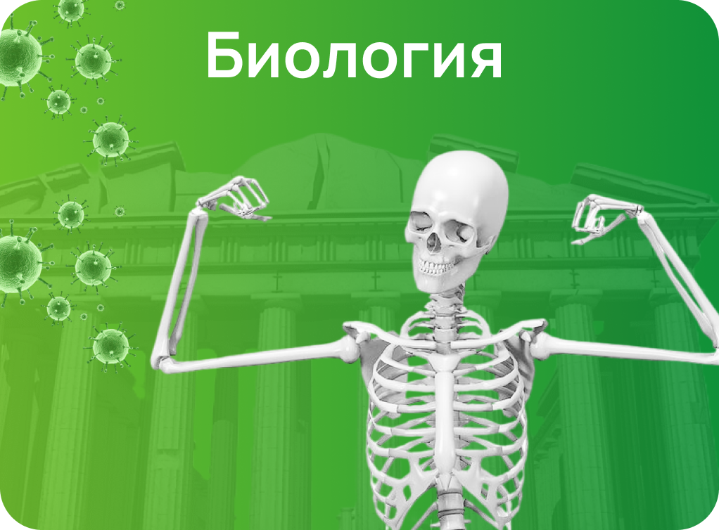 Онлайн курс Онлайн-курс подготовки к ЕГЭ и ОГЭ по биологии от Академикс от Академикс