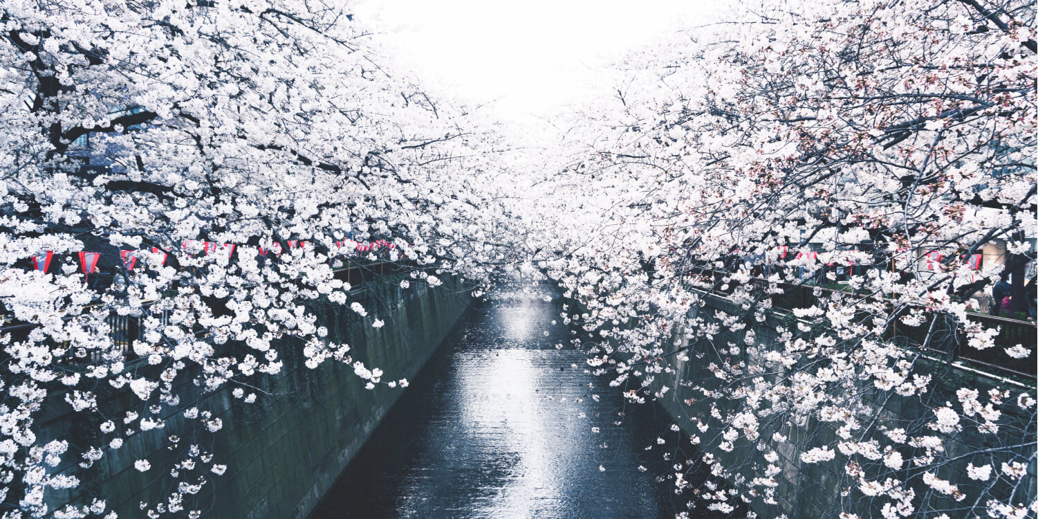 Онлайн курс Япония: главное от Level One