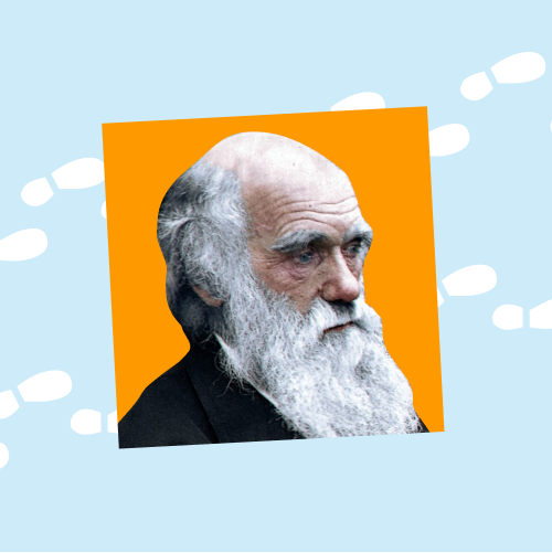 Онлайн курс Полугодовой курс ОГЭ-2026. Биология с Лерой Луканцевой от Foxford