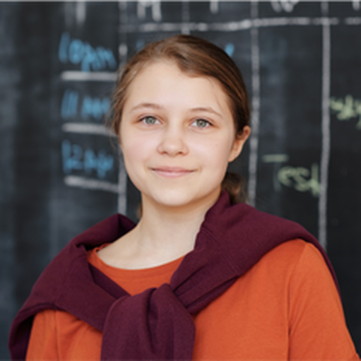 Онлайн курс Школьное обществознание. 9 класс от Foxford Онлайн курс Школьное обществознание. 9 класс от Foxford