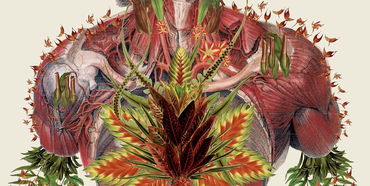 Онлайн курс Химия тела: как молекулы управляют нами от Level One