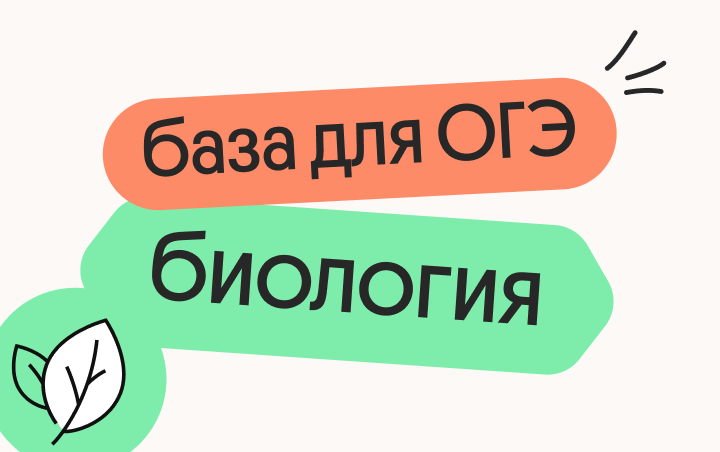 Онлайн курс Базовые темы для ОГЭ по биологии от Вебиум