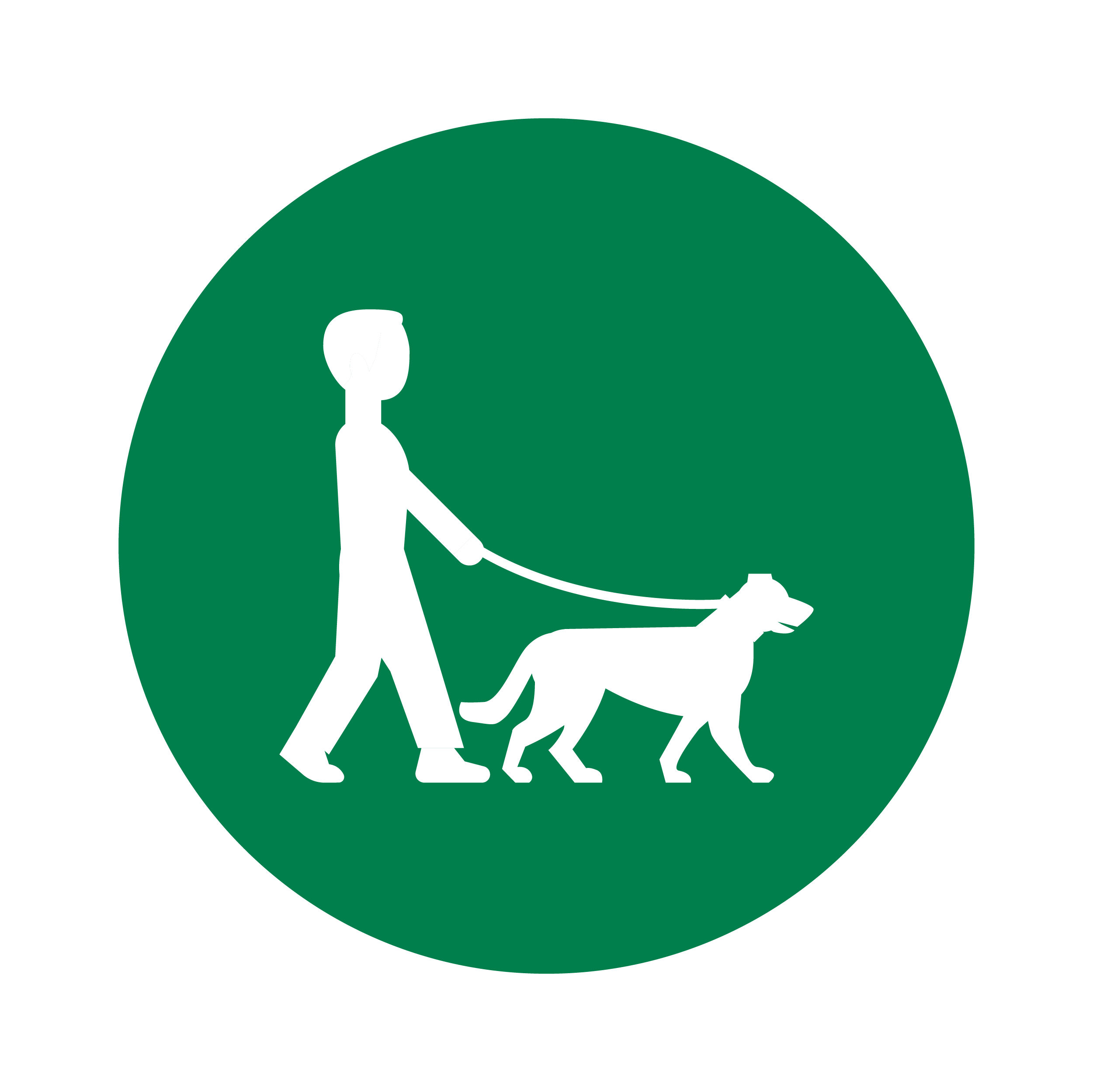 Онлайн курс Путь к идеальной собаке от Московская Академия Сельского Хозяйства (МАСХ)