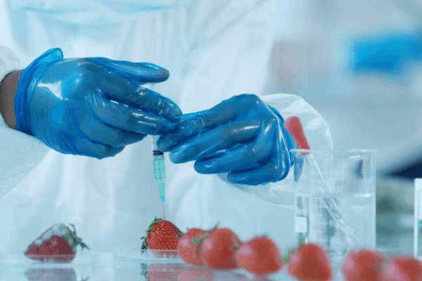 Онлайн курс Что мы едим: польза и вред глазами химика от Level One