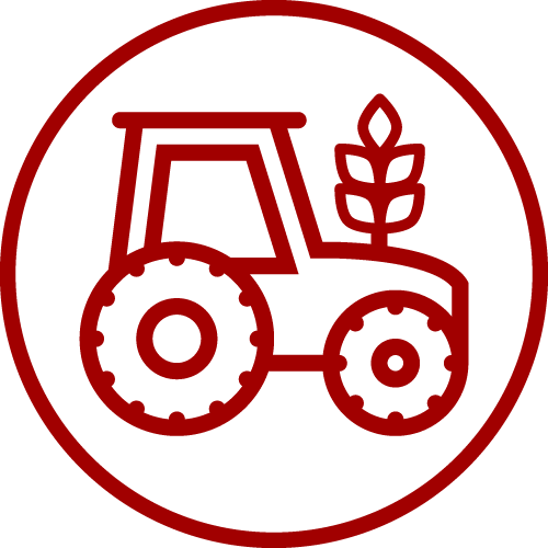 Онлайн курс Выращивание винограда от Московская Академия Сельского Хозяйства (МАСХ)