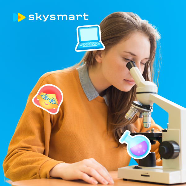 Онлайн курс Онлайн-курсы по химии для школьников 7-11 класс от Skysmart